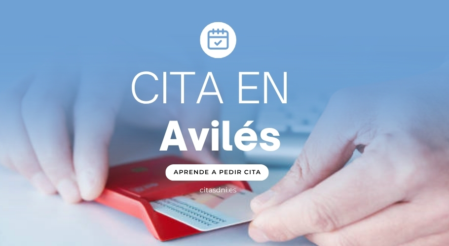 Pedir cita previa Avilés